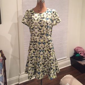 J. Crew dress - NWT