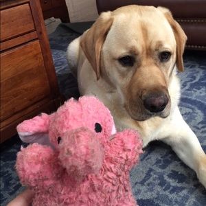 Meet your Posher, Caroline