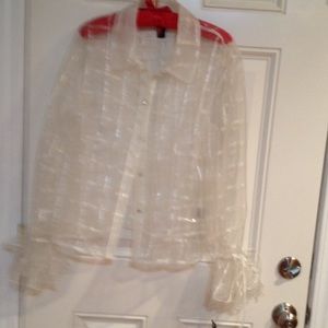 Sheer blouse with full long sleeves