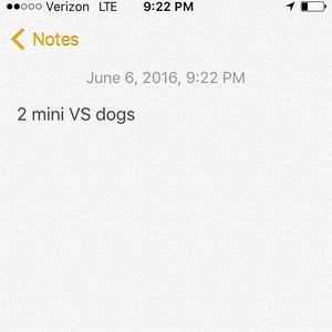 2 mini dogs