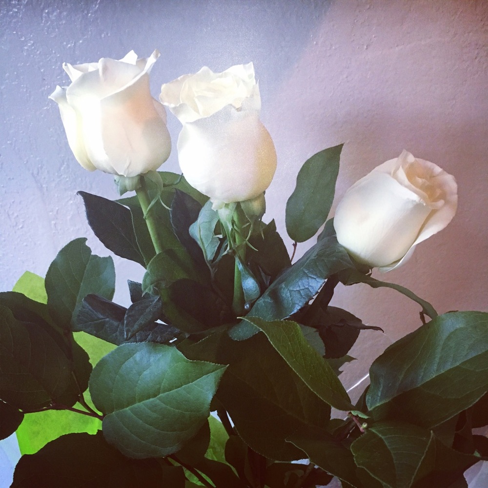 Meet your Posher, Maria