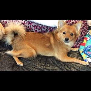 Meet your Posher, Monica