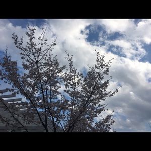 Meet your Posher, Yeonmin