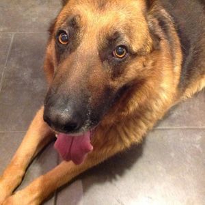 Meet your Posher, Chaney