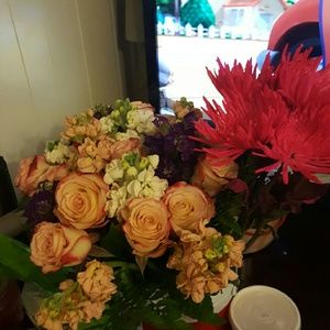 Meet your Posher, Amber