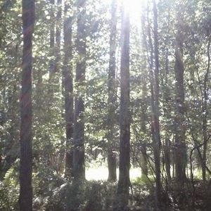 Meet your Posher, Denette