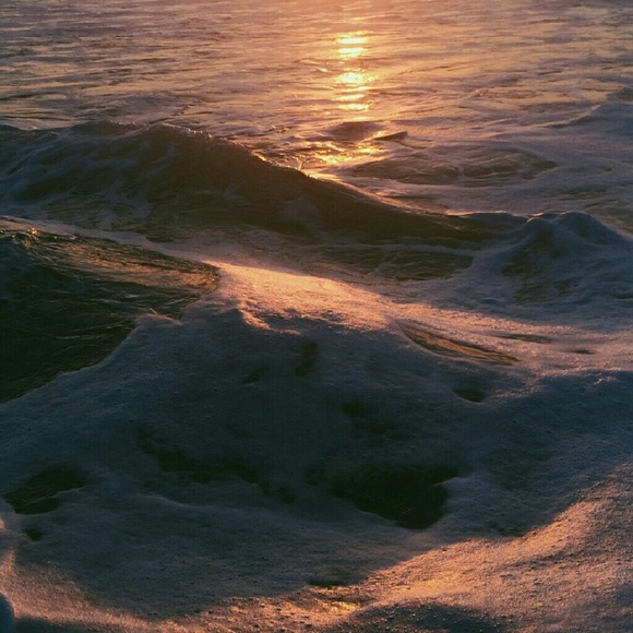 Meet your Posher, Monica