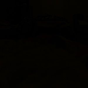 Meet your Posher, Kay