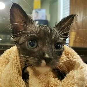 Meet your Posher, Eileen