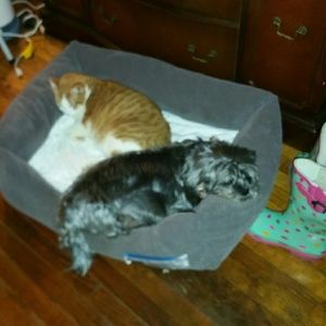 Meet your Posher, Janet