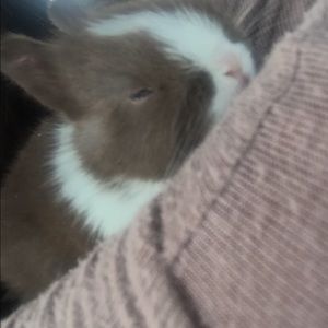 Meet your Posher, Yury