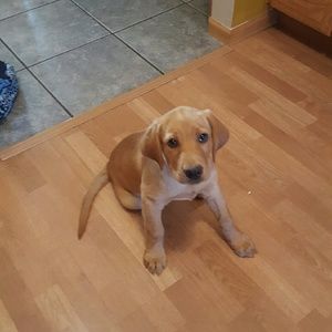 Meet your Posher, Karen