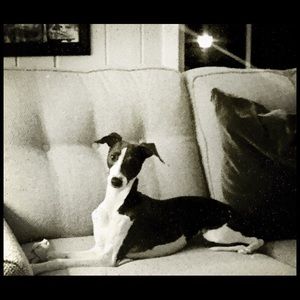 Meet your Posher, Theresa