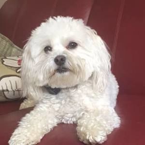 Meet your Posher, Jan