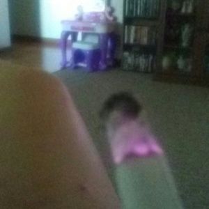 Meet your Posher, Haley