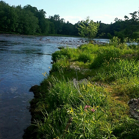 Meet your Posher, Arianna - Picture 4 of 4