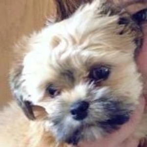 Meet your Posher, Vicky