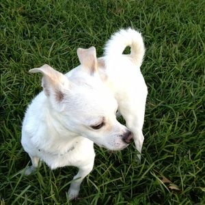 Meet your Posher, Sherrie