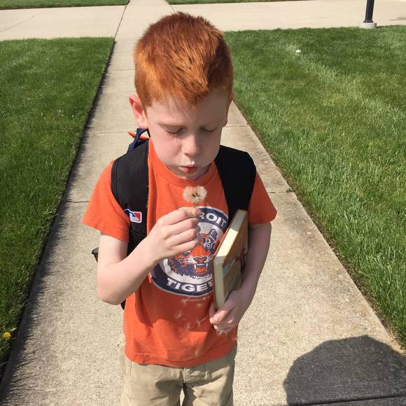 Meet your Posher, Tara - Picture 1 of 1