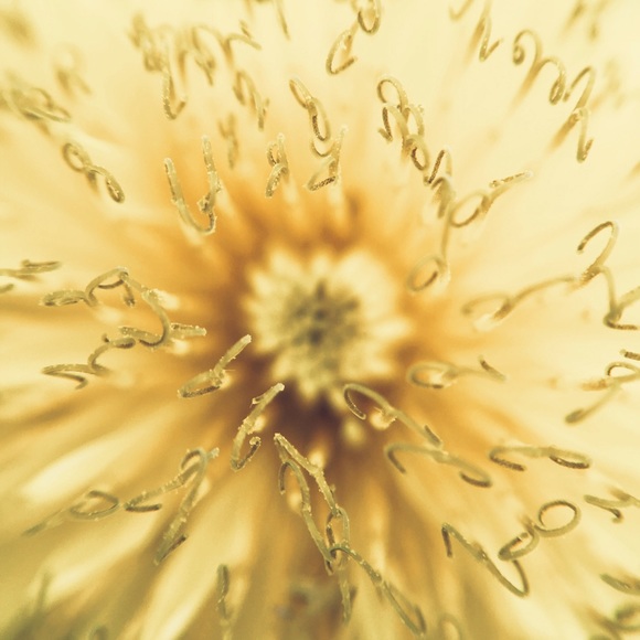 Meet your Posher, Vanessa - Picture 2 of 2