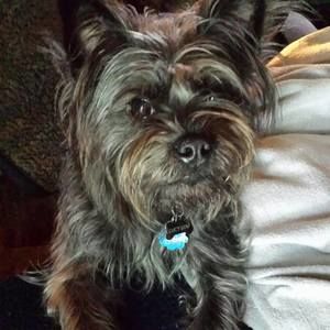 Meet your Posher, Wendy