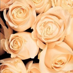 Meet your Posher, Larissa