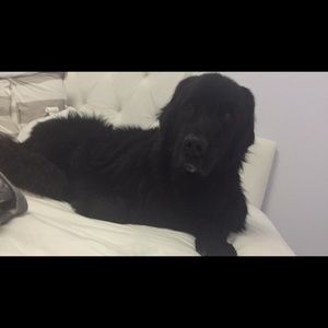 Meet your Posher, Alexandra