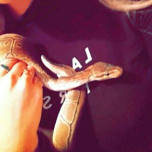 Meet your Posher, Victoria