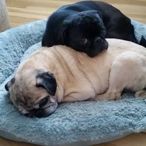 Meet your Posher, Vicki