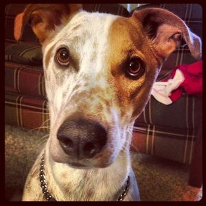 Meet your Posher, Hannah