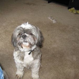 Meet your Posher, Ethel