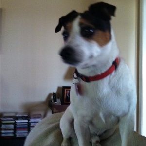 Meet your Posher, Kathy