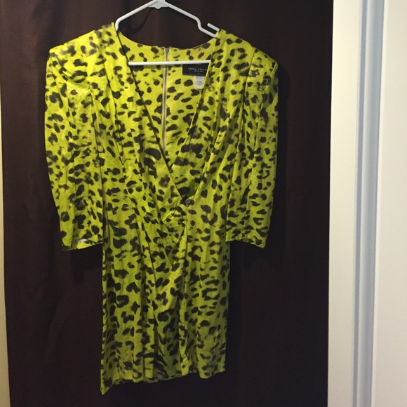 Sexy Animal Print Dress