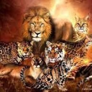 Meet your Posher, Vickie