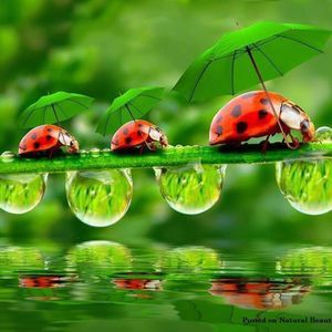 Meet your Posher, Maryann