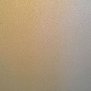 Meet your Posher, Katy