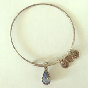 Alex and Ani Living Water Bangle