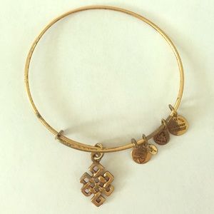 Alex and Ani Endless Knot Bangle