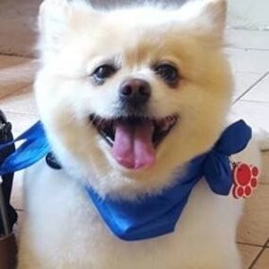 Meet your Posher, Sandra