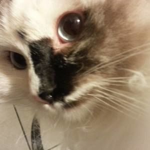 Meet your Posher, Sandra