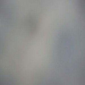 Meet your Posher, Jayden