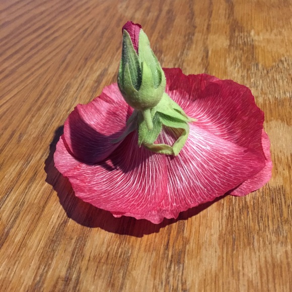 Meet your Posher, Lili