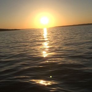 Meet your Posher, Carolyn