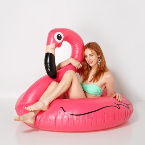 Wildfox Other - •NWT• Flamingo Pool Float!