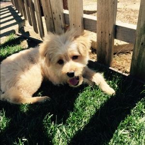 Meet your Posher, Jamie