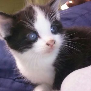 Meet your Posher, Shannon