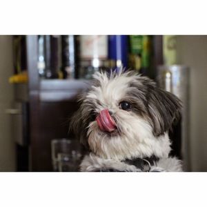 Meet your Posher, Bhavna