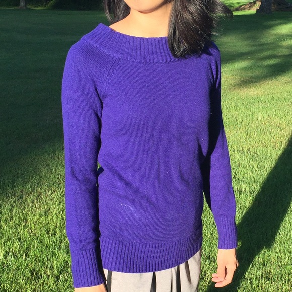 Blue Violet Sweater