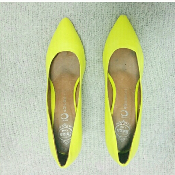 Jeffrey Campbell kittens