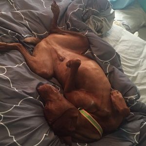 Meet your Posher, Alexandra